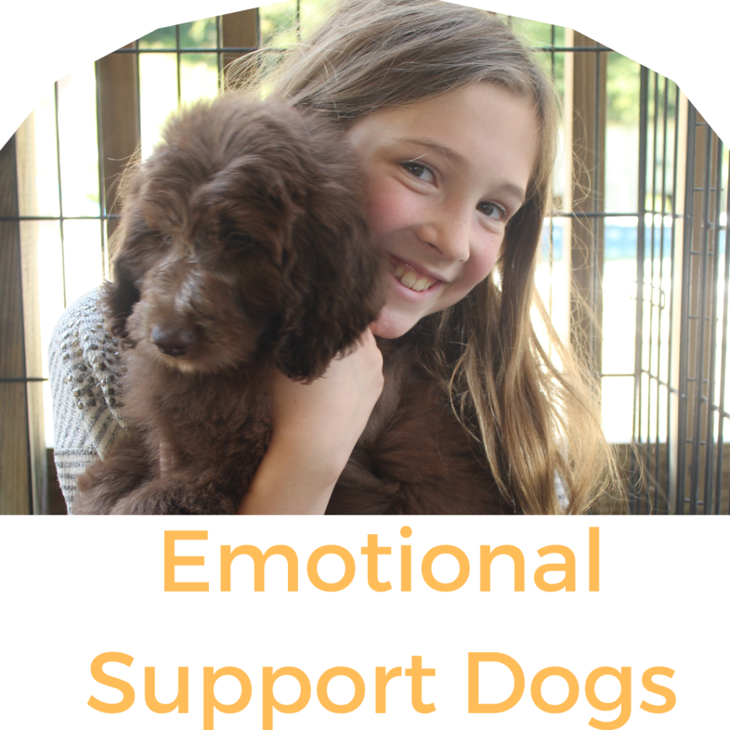 emotional support dogs for sale
