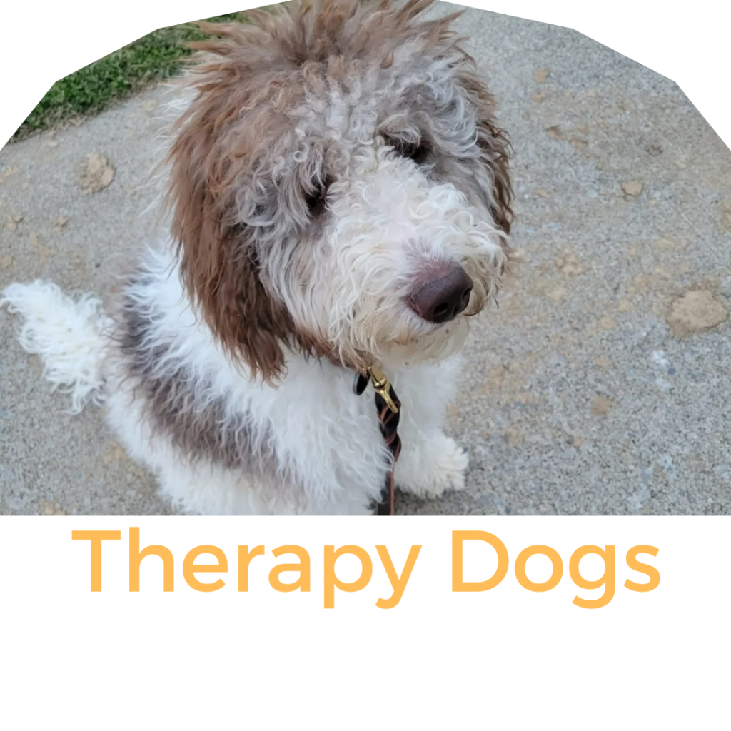 therapy dogs for sale